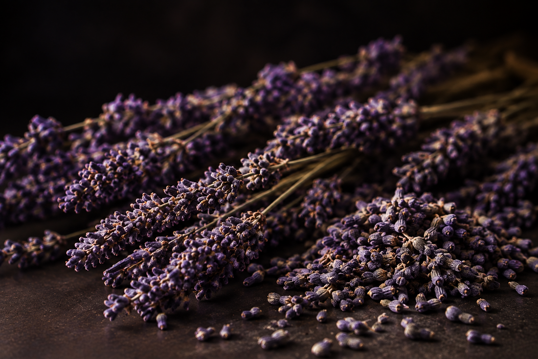 Dried Lavender Flowers: A Quiet Botanical Classic