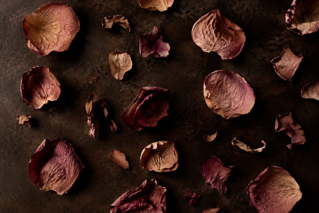 Dried Rose Petals: Beauty in Its Most Botanical Form