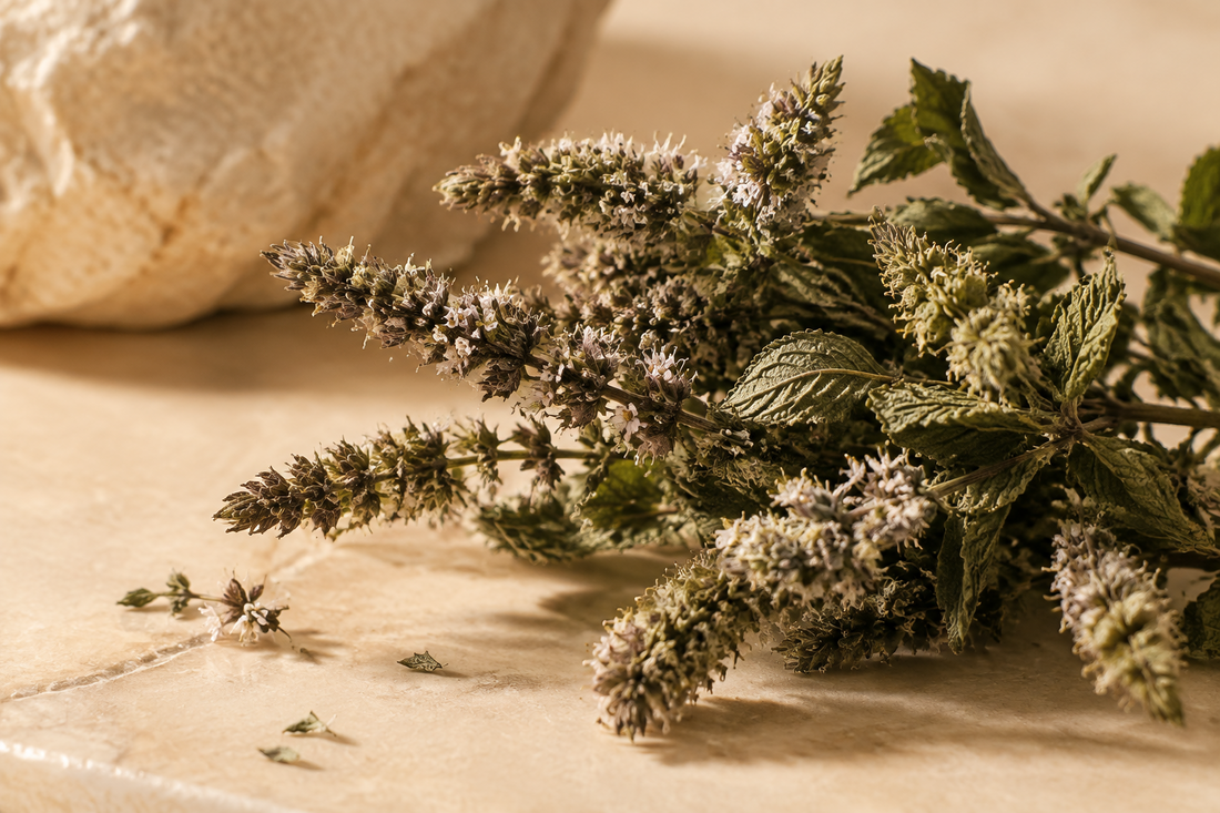 Dried Spearmint Flowers: Freshness in Bloom