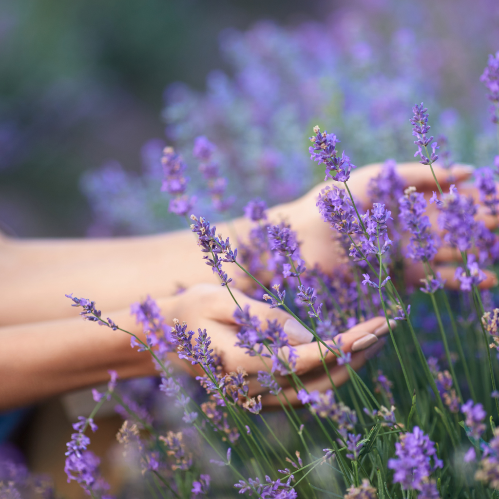 Bareglow Lavender Dream Bath Salts™